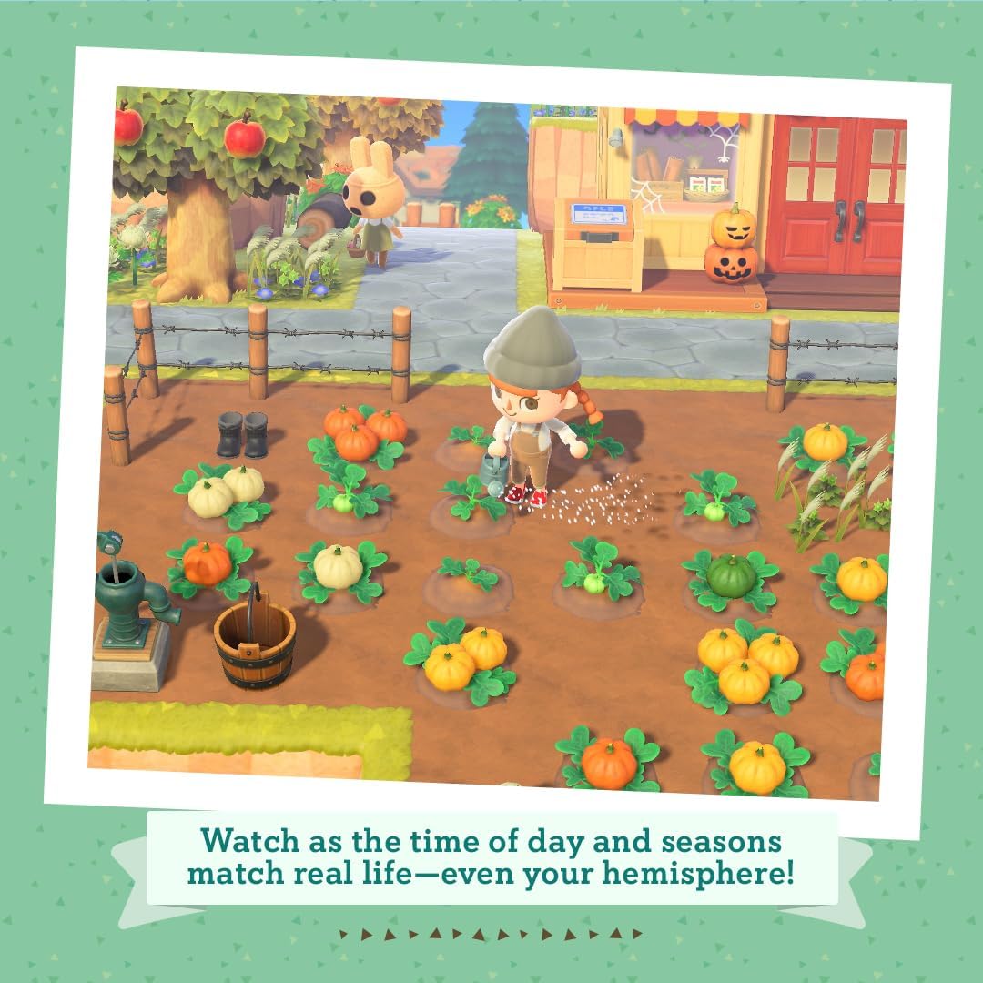 Animal Crossing New Horizons (Switch)