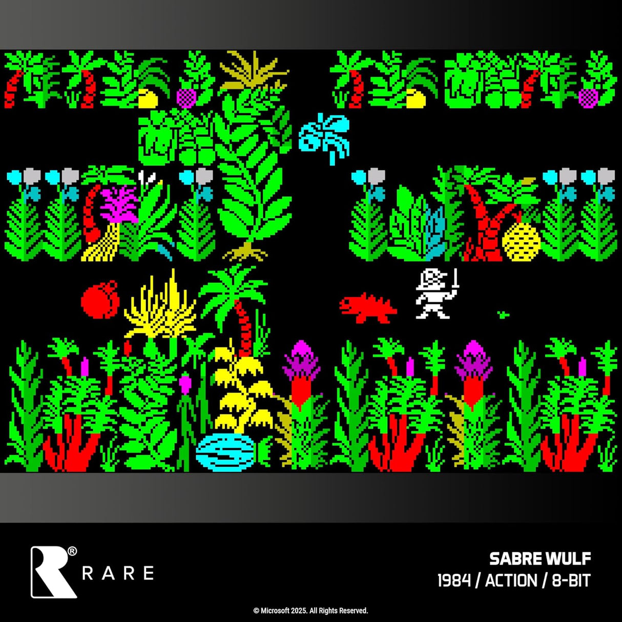 Blaze Evercade Rare Collection 1