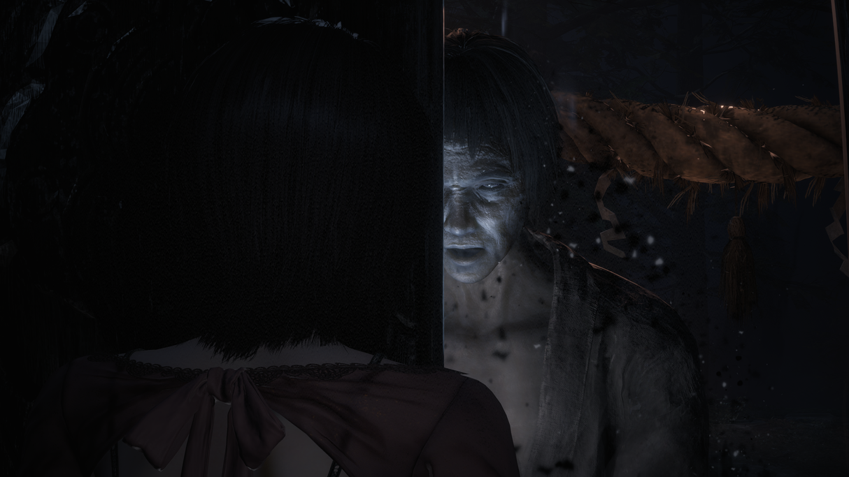 Fatal Frame II (PS5)