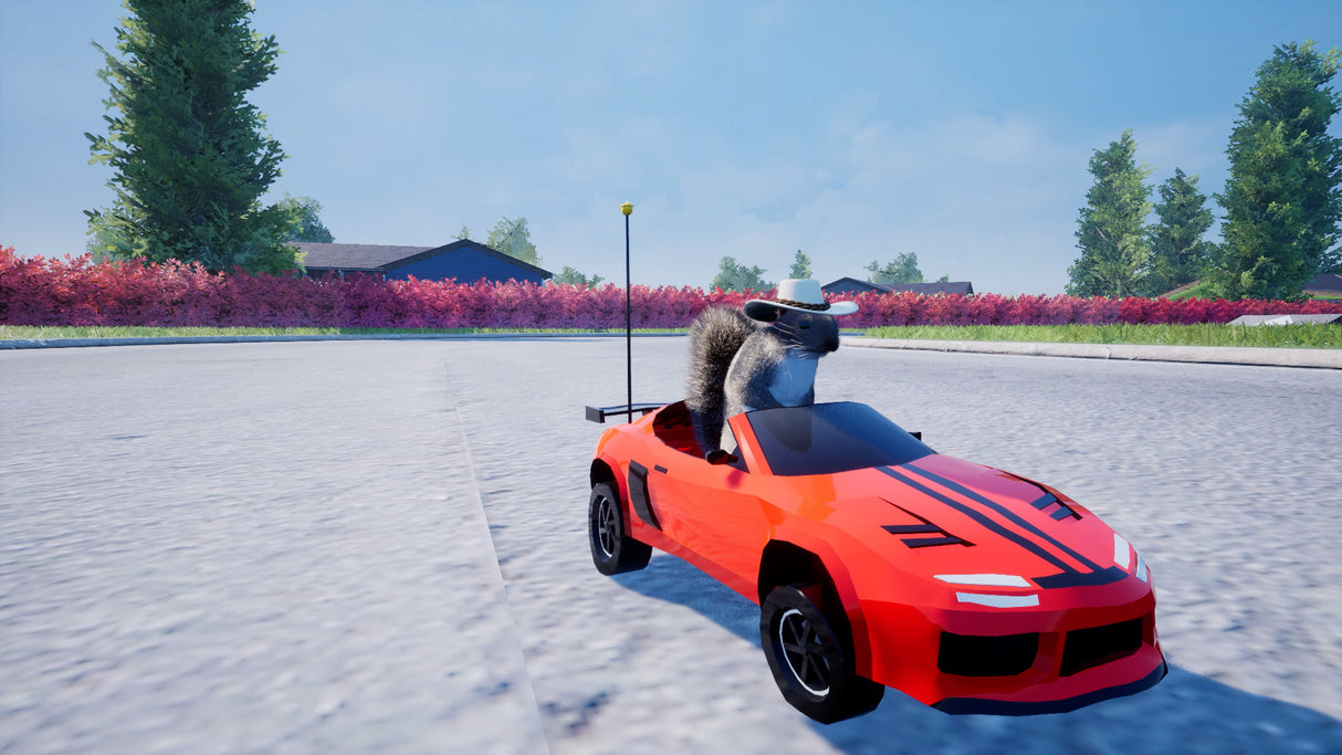Squirrel With A Gun (Switch 2)