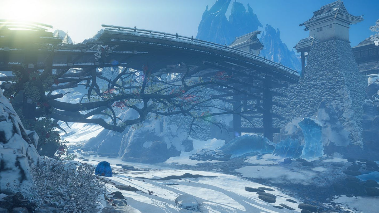 Wild Hearts S (Switch 2)