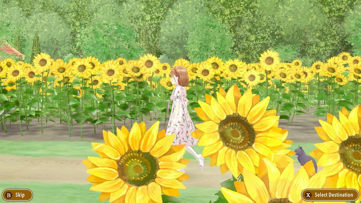 Magical Craft: My Enchanted Dress Shop (Switch)