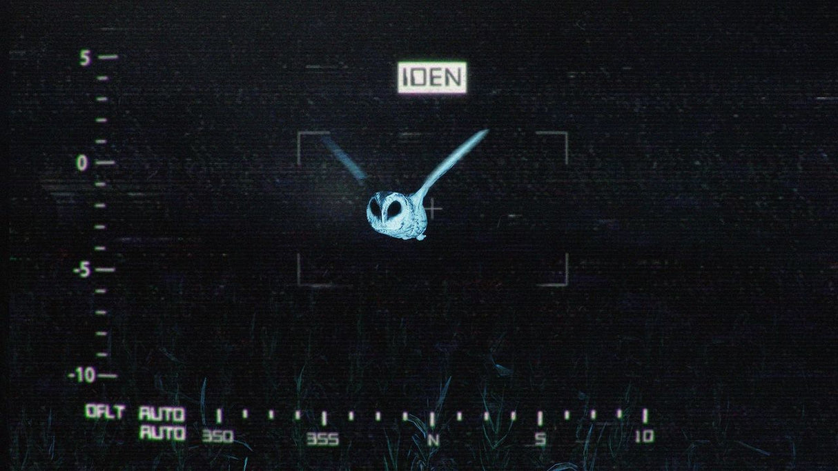 They Are Here: Alien Abduction Horror (PS5)