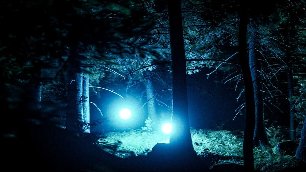 They Are Here: Alien Abduction Horror (PS5)