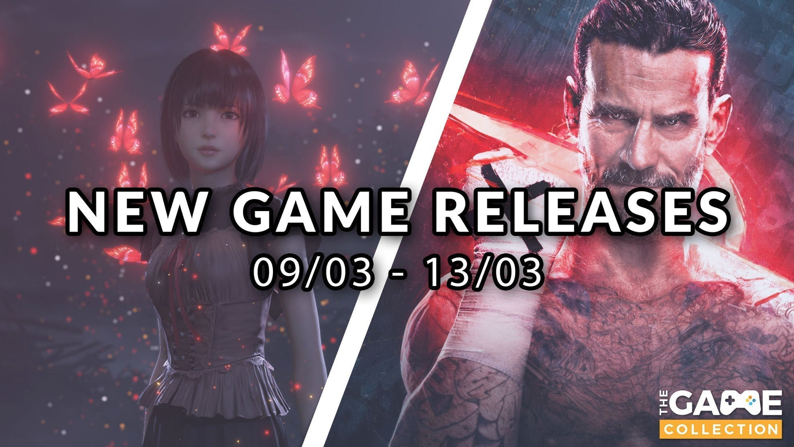 From Fatal Frame II to WWE 2K26 - New Releases 09/03!