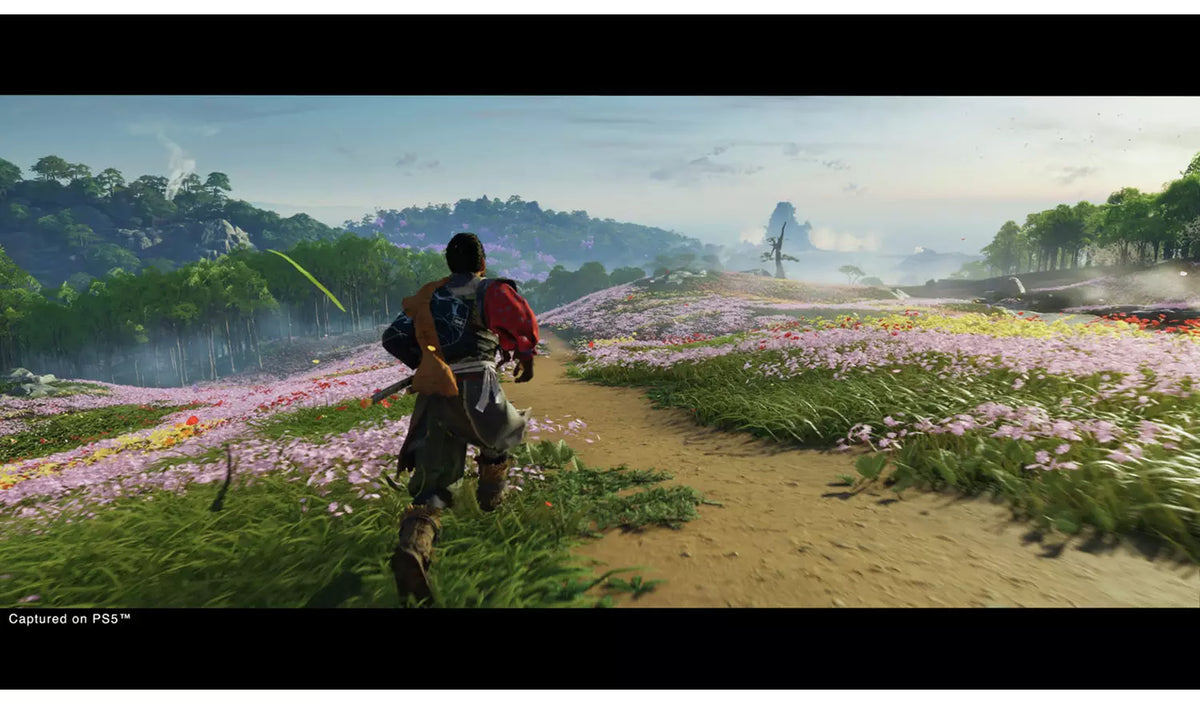 Ghost Of Tsushima Director's Cut [EN, FR, ES, AR, PT] (PS5)