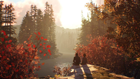Life is Strange 2 [Code in a Box] (Switch)