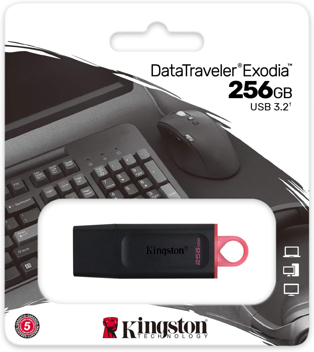 Kingston DataTraveler Exodia DTX/256 GB Flash Drive USB 3.2 Gen 1 - with Protective Cap and Keyring