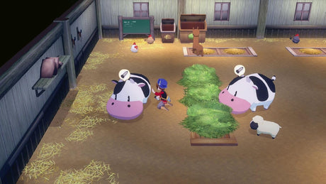 STORY OF SEASONS: Grand Bazaar - Limited Edition (Switch 2)