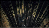 Dark Souls Trilogy (Xbox One)