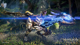 Horizon Forbidden West (PS4)