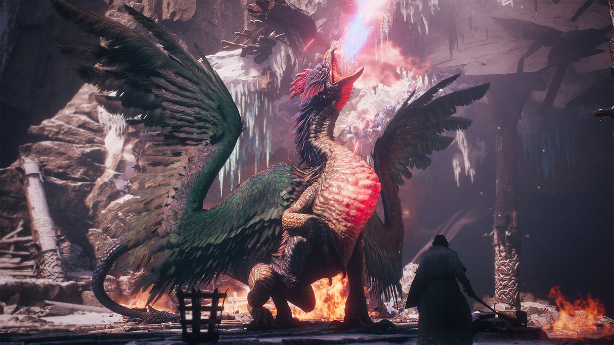 Dragons Dogma 2 Dark Arisen (Switch 2)