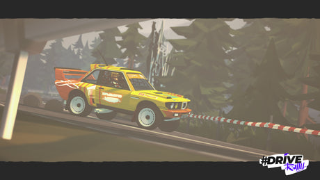 Drive Rally Special Edition (Switch)