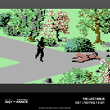 Evercade The Last Ninja and IK Collection