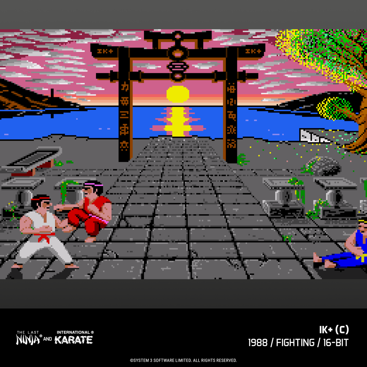Evercade The Last Ninja and IK Collection