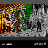 Evercade The Last Ninja and IK Collection