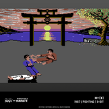 Evercade The Last Ninja and IK Collection
