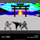 Evercade The Last Ninja and IK Collection