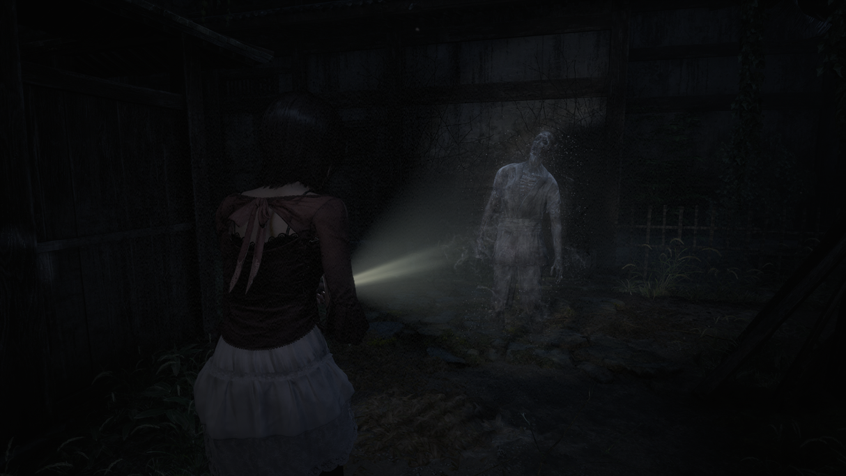 Fatal Frame II (PS5)