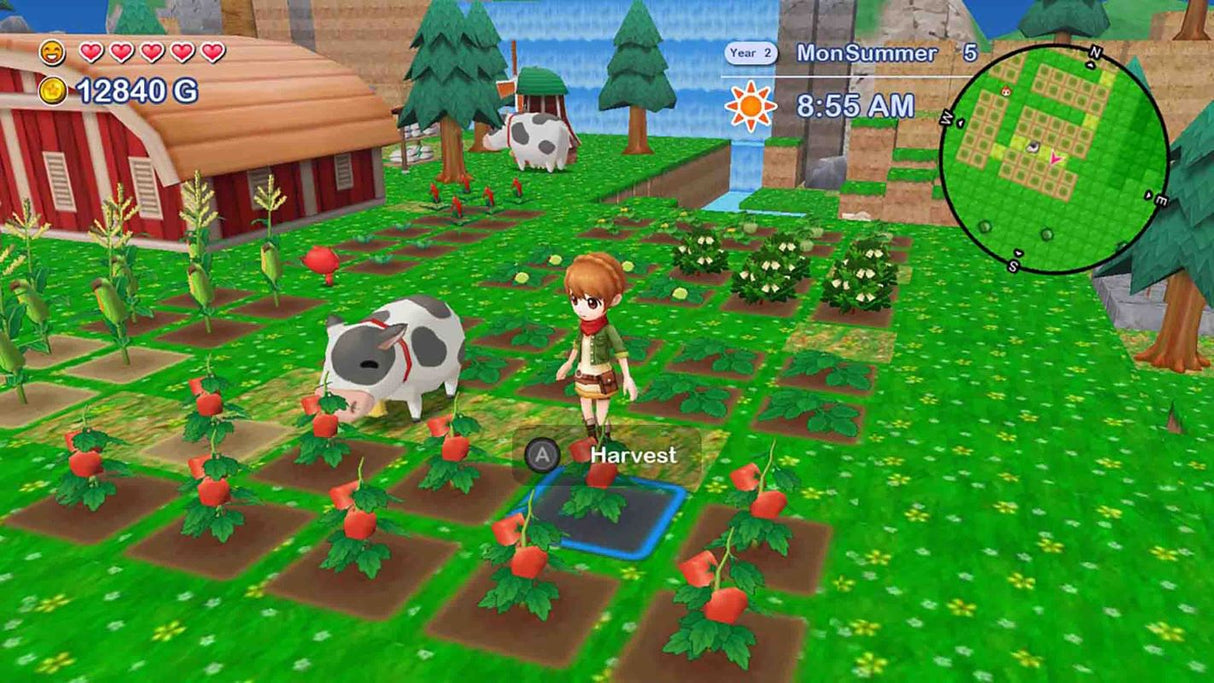 Harvest Moon: The Lost Valley & Skytree Village Collectors Edition (Switch)