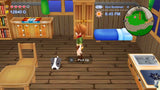 Harvest Moon: The Lost Valley & Skytree Village (Switch)