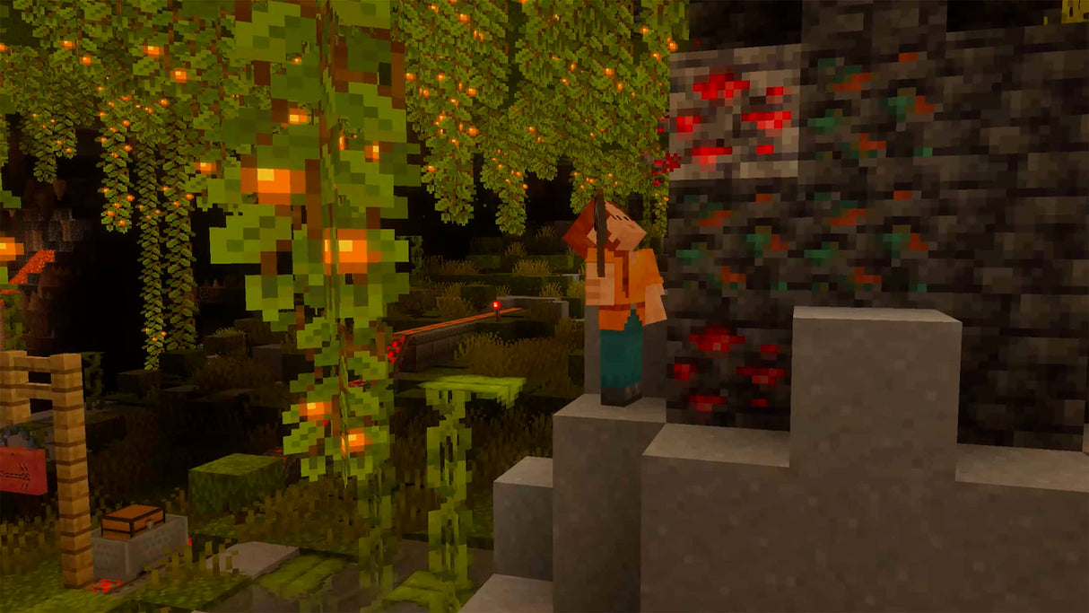Minecraft (Switch 2)