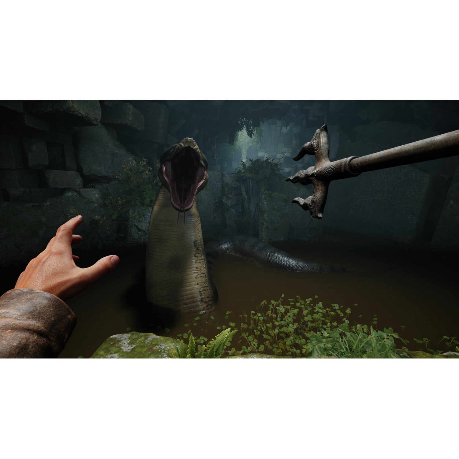 Indiana Jones and the Great Circle (Switch 2)