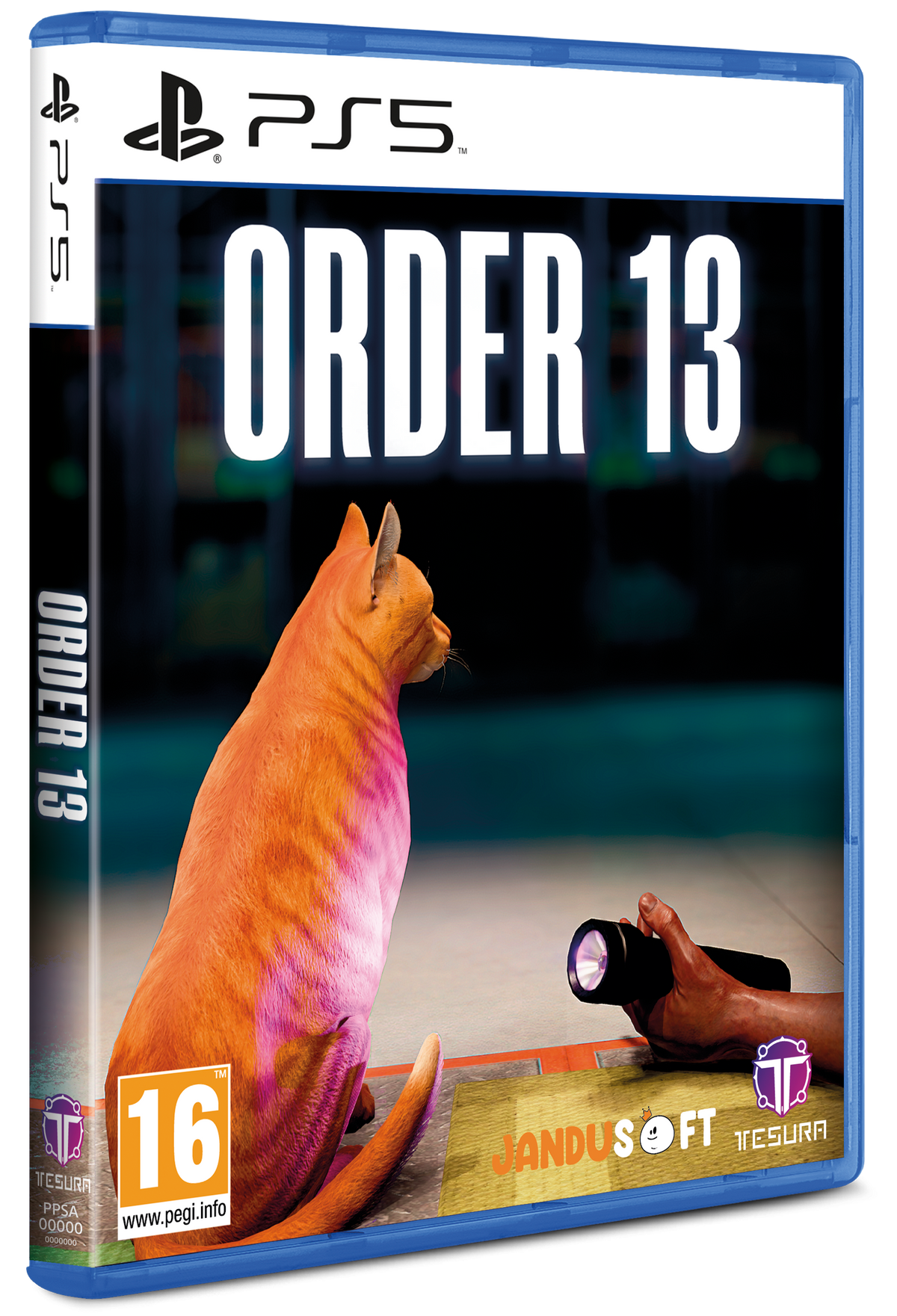 Order 13 (PS5)
