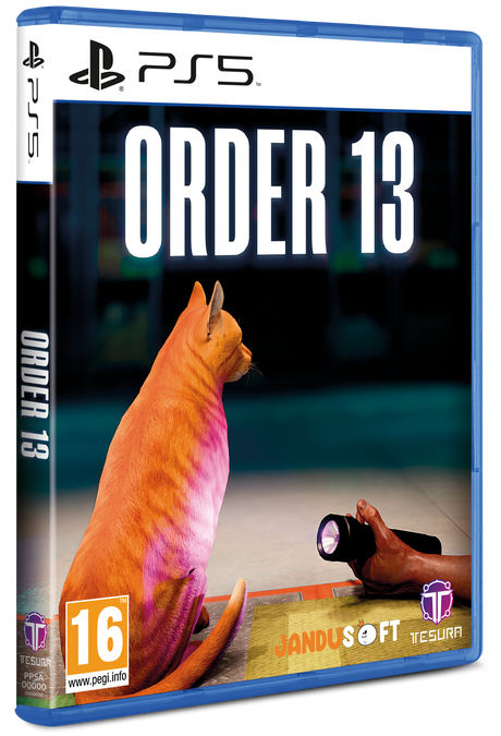Order 13 (PS5)