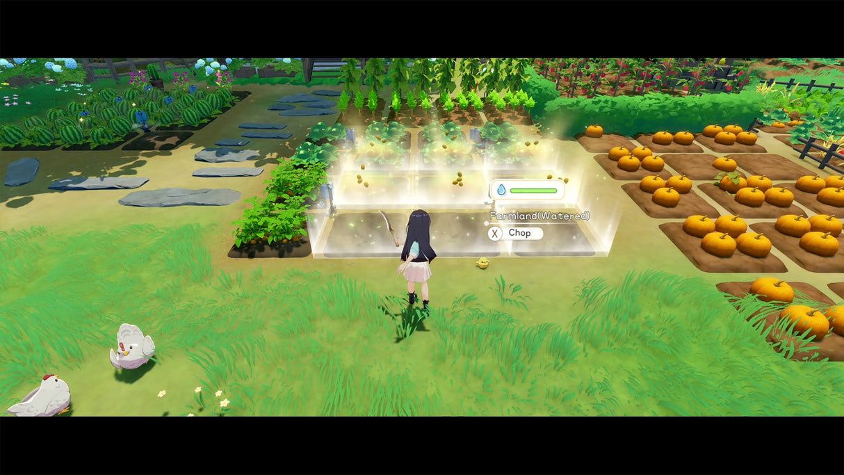 Starsand Island (PS5)