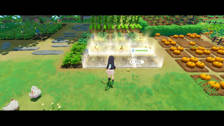 Starsand Island (PS5)