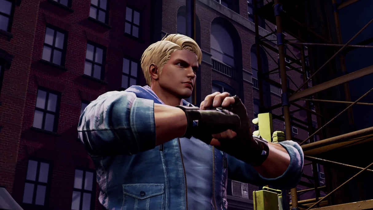 Double Dragon Revive: Limited Edition (Switch)