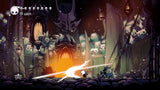 Hollow Knight (PS5)