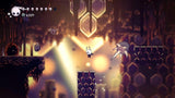 Hollow Knight (PS5)