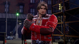 Double Dragon Revive: Limited Edition (Switch)