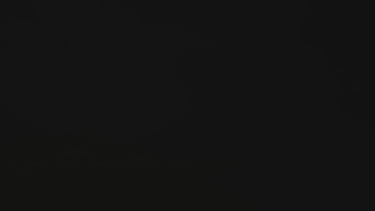 Warplanes WWI Sky Aces + WW2 Dogfight (Switch)